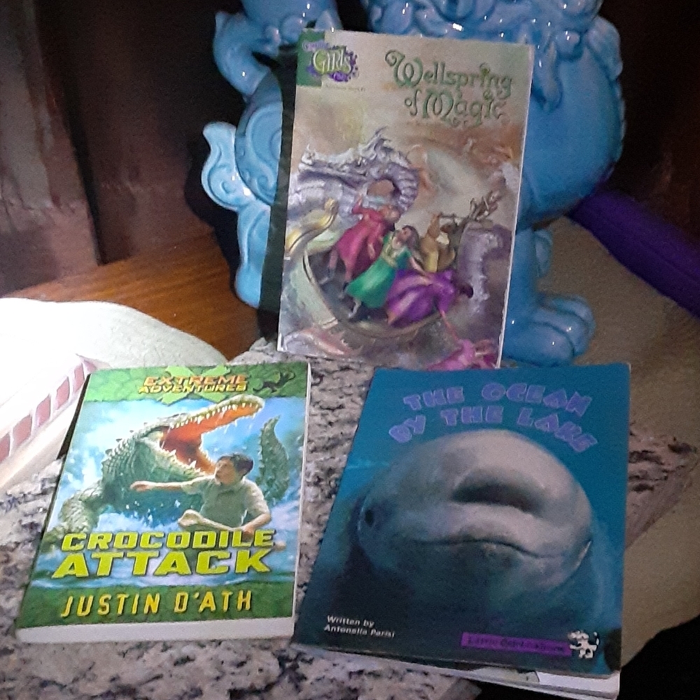 PAPERBACK BOOK BUNDLE